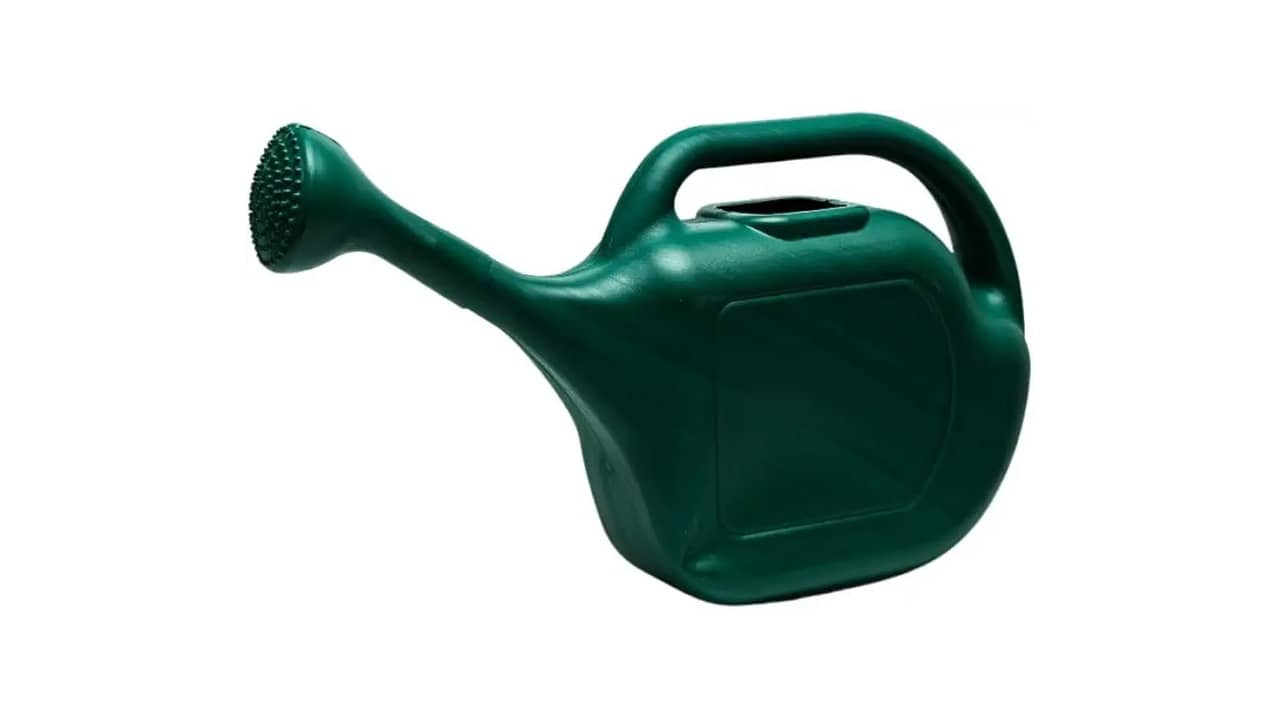 Melhor Regador Stardew Valley: Qual o Ideal Para Sua Fazenda?