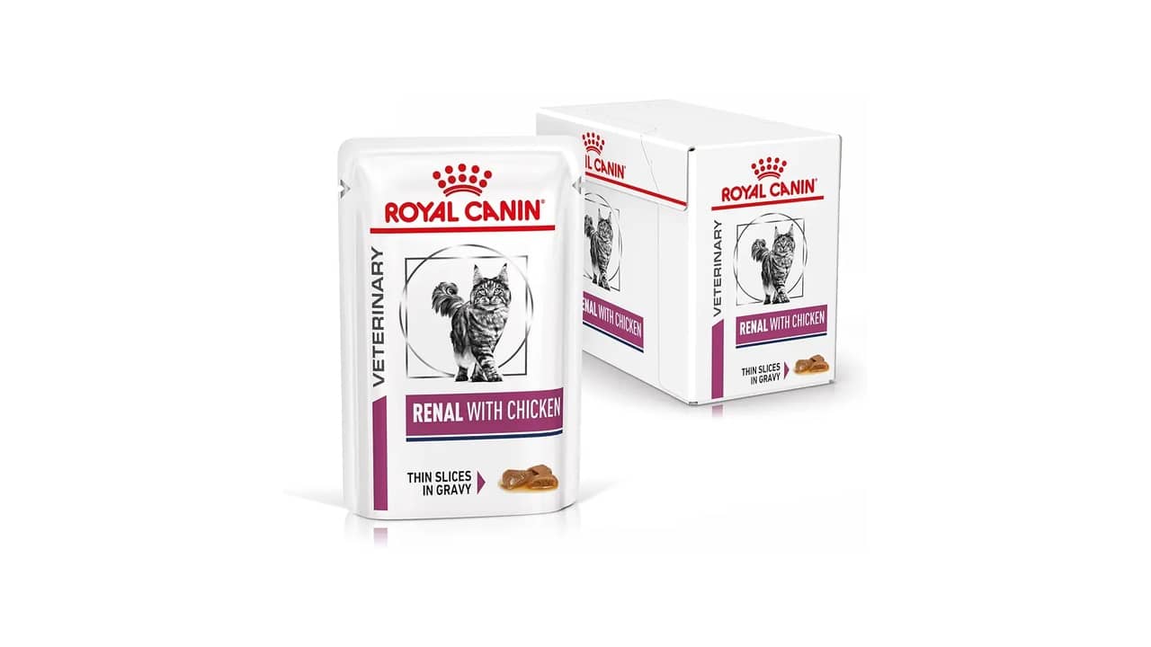 Melhor Sachê para Gato Renal: Guia Completo para Escolher!