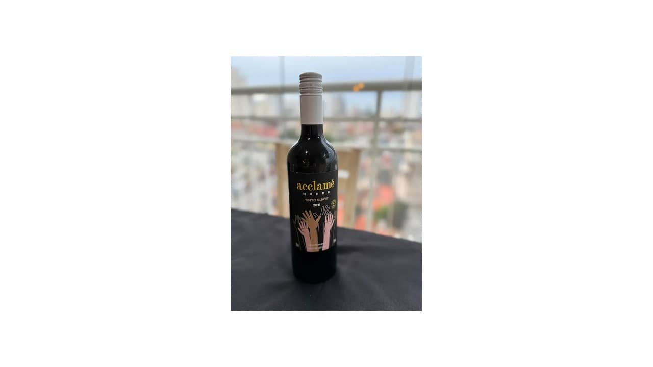 Melhor Safra de Vinho Chileno: Descubra os Vinhos Premiados