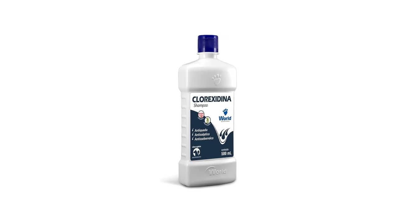 Melhor Shampoo para Gato Persa: Guia Completo