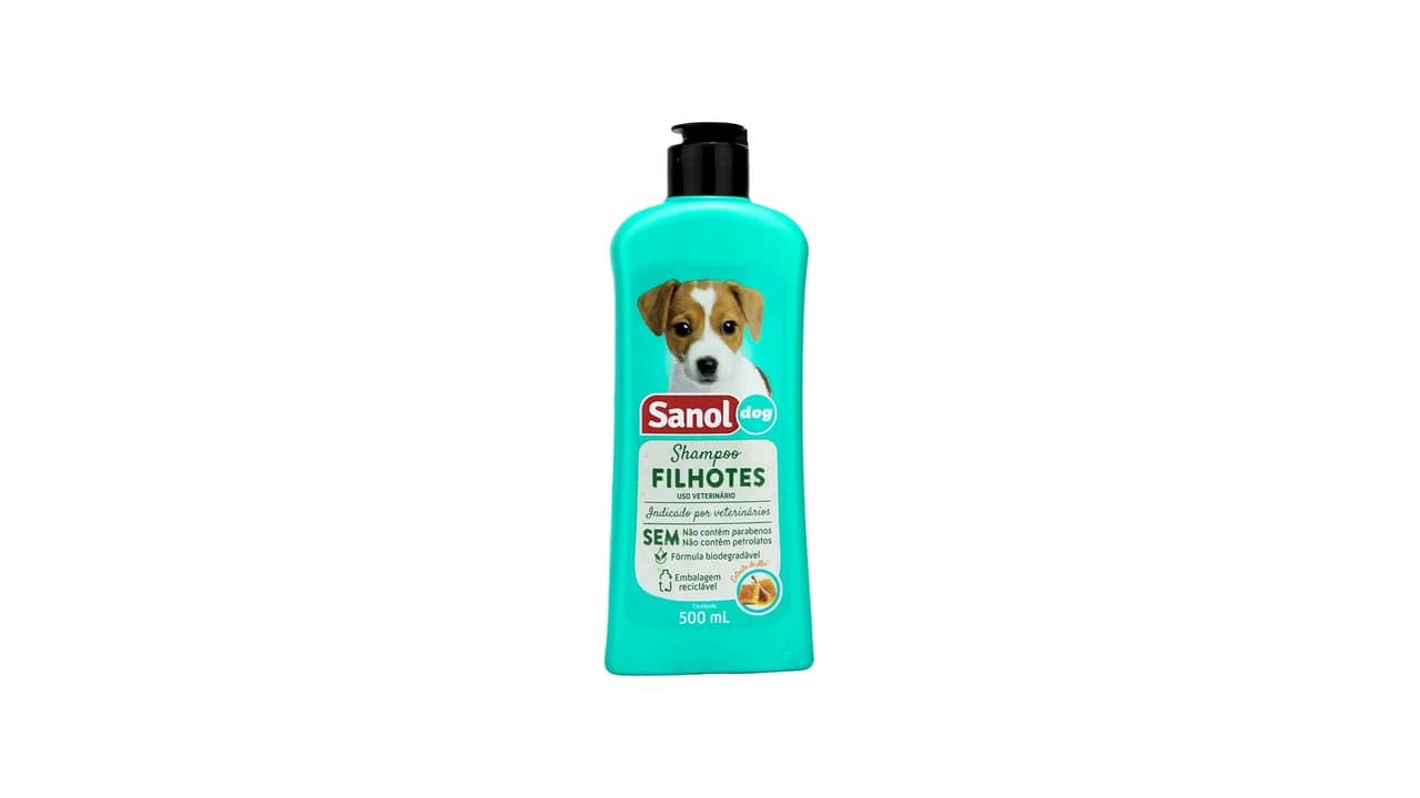 Melhor Shampoo para Gatos Filhotes: Guia Completo