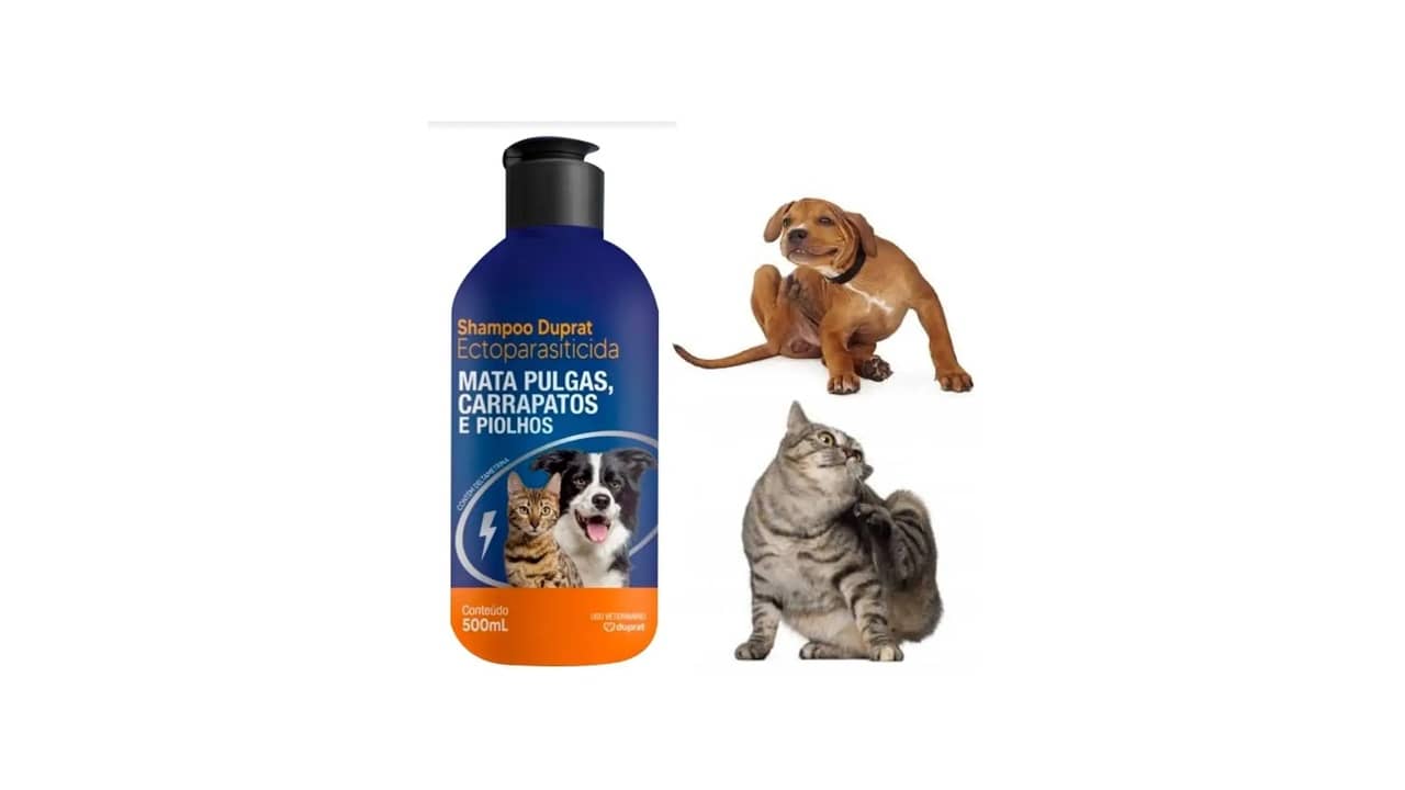 Melhor Shampoo para Tirar Piolho: Guia Essencial