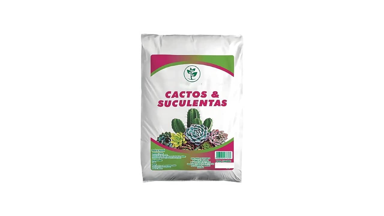 Melhor Solo para Suculentas: Guia Completo de Drenagem