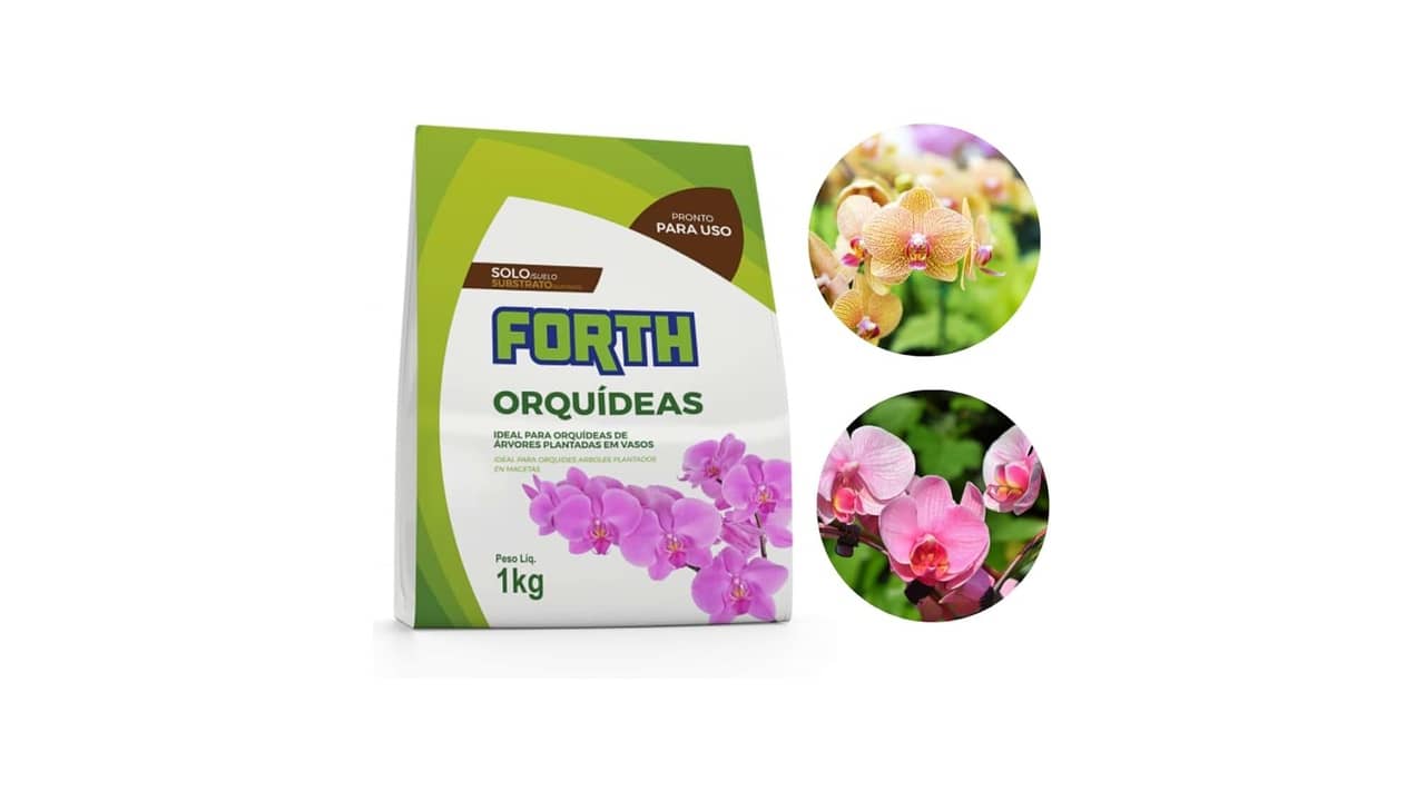 Melhor Substrato para Orquídeas: 10 Opções de Alta Drenagem