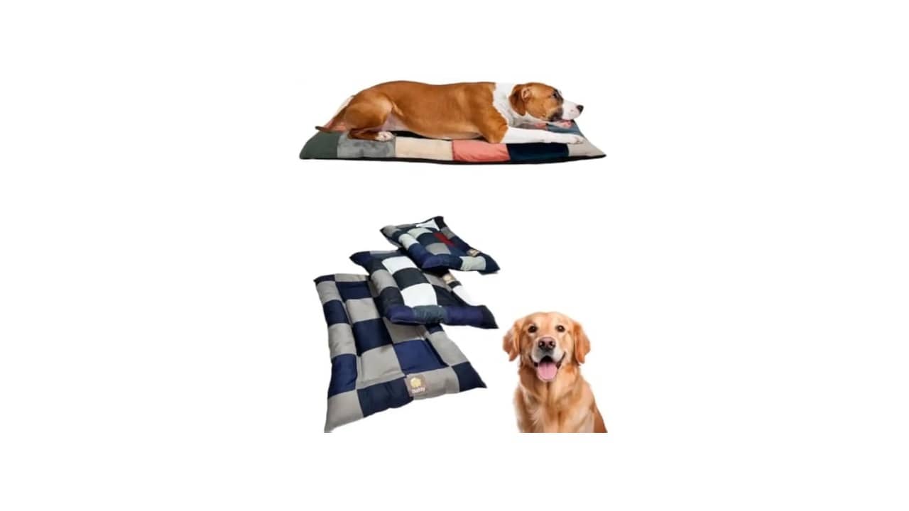 Melhor Tecido para Cama de Gato: Conforto e Durabilidade