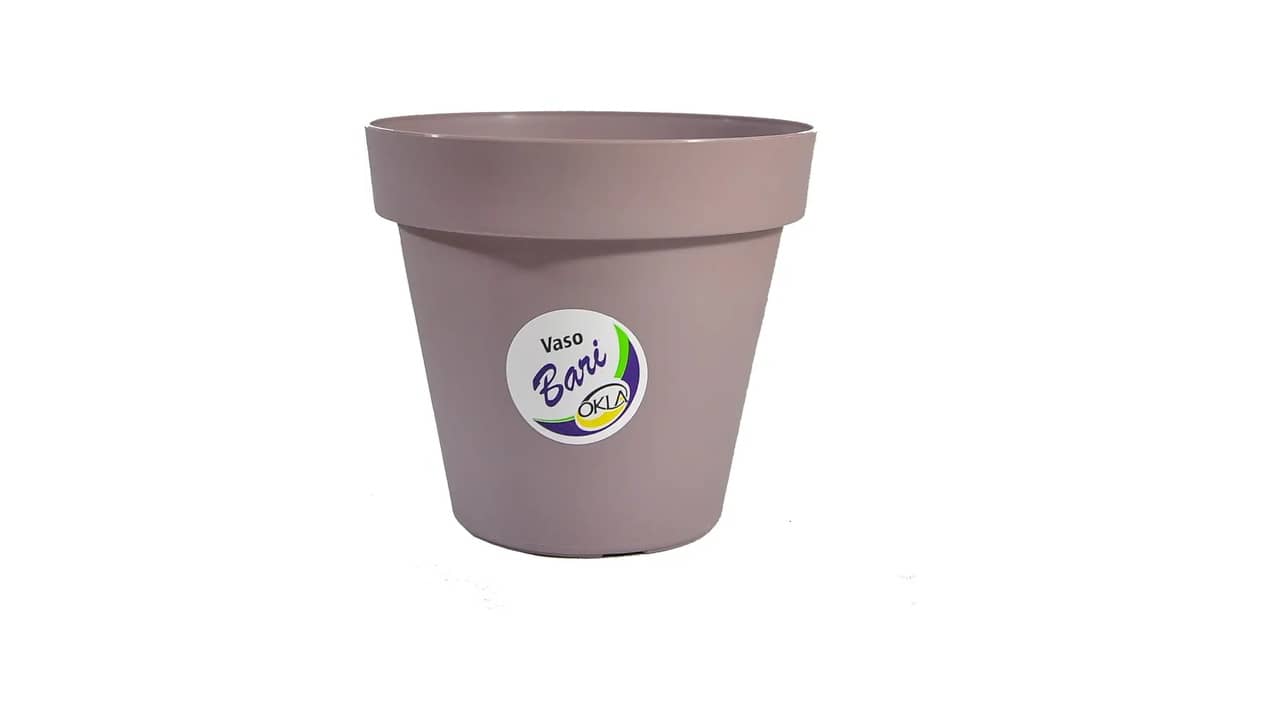 Melhor Tipo de Vaso para Zamioculca: Guia Essencial