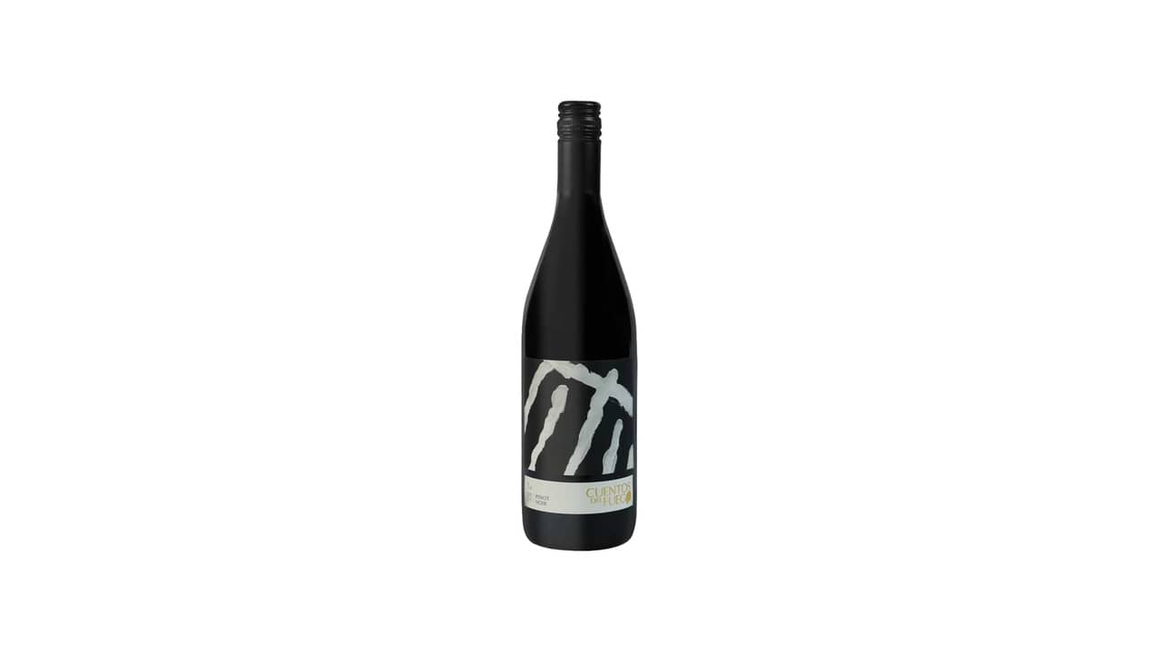 Melhor Uva para Vinho Tinto Seco: Guia Completo