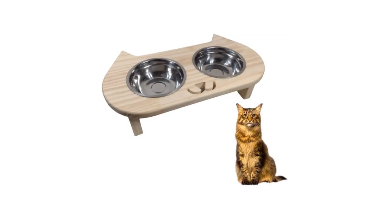 Melhor Vasilha para Gato: 10 Modelos Ergonômicos