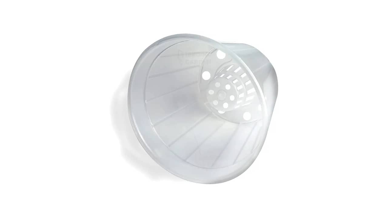 Melhor Vaso para Orquidea Cattleya: Guia Essencial