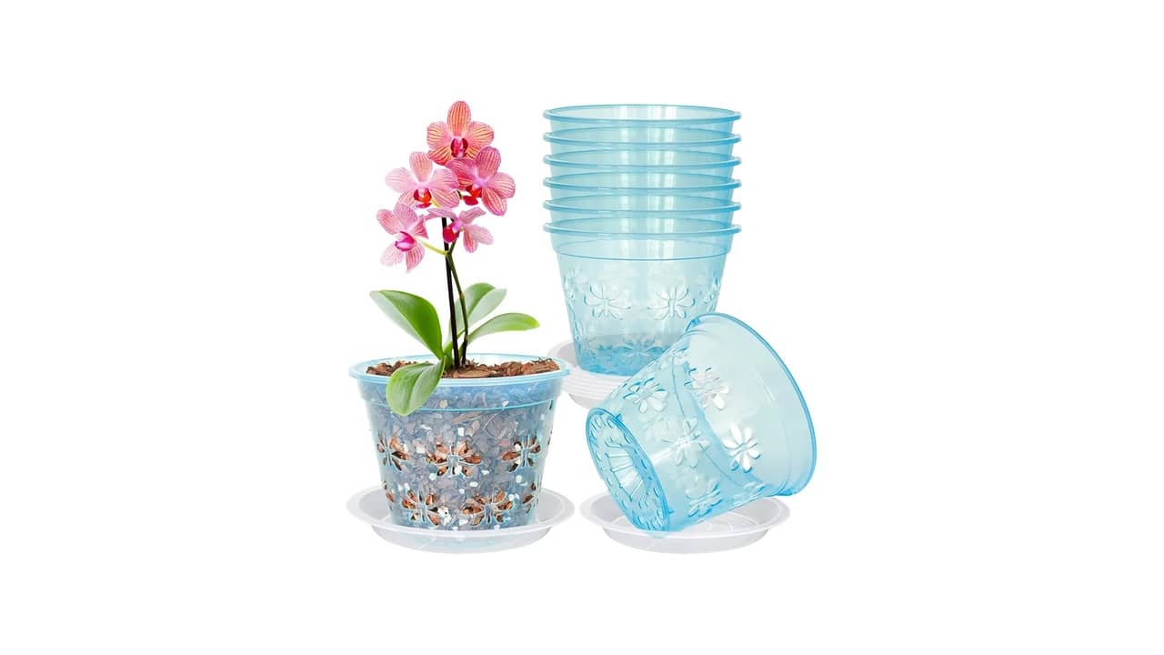Melhor Vaso para Orquídea Oncidium: Guia Essencial