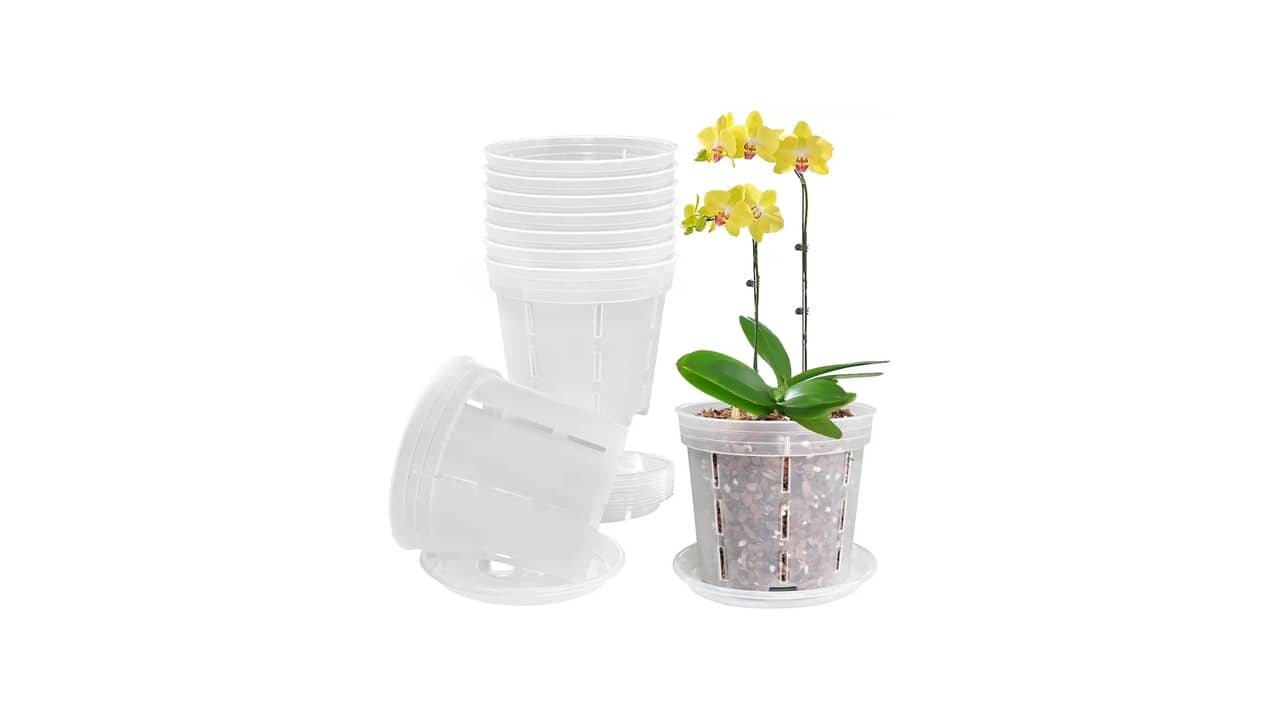 Melhor Vaso para Orquídea Phalaenopsis: Escolha Ideal
