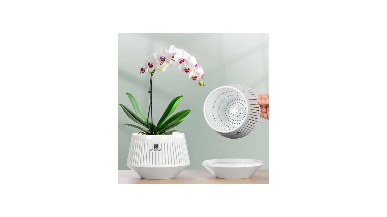 Melhor Vaso para Orquídeas Vanda: Guia de Compra Essencial