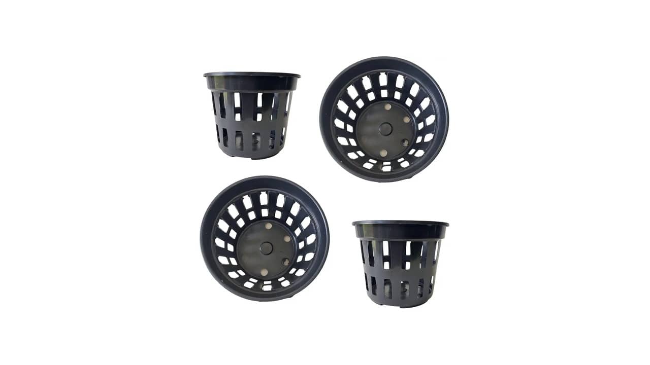 Melhor Vaso para Plantar Flor de Maio: Guia de Escolha