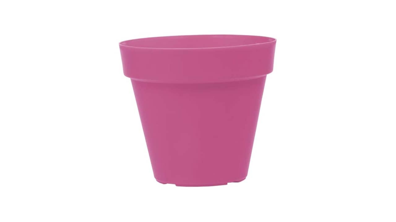 Melhor Vaso para Rosa do Deserto: Escolha o Ideal!