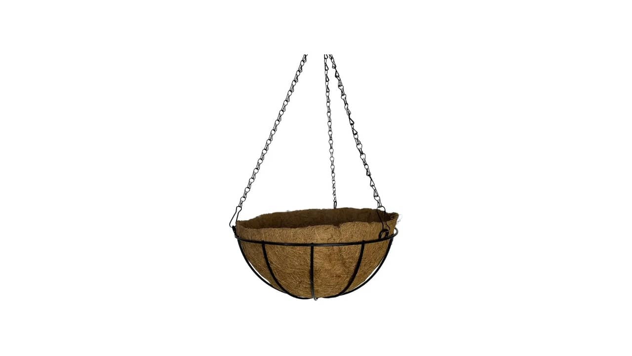 Melhor Vaso para Plantar Samambaia: Guia Essencial