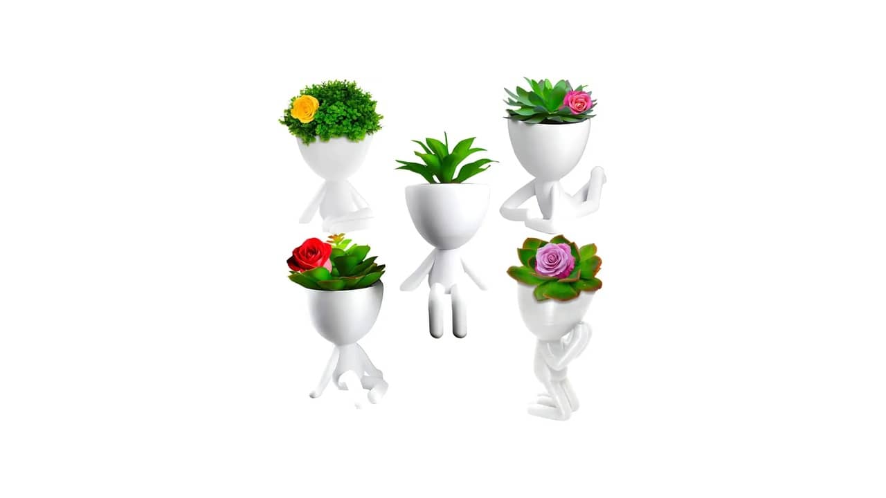 Melhor Vaso para Plantar Suculentas: Guia Essencial