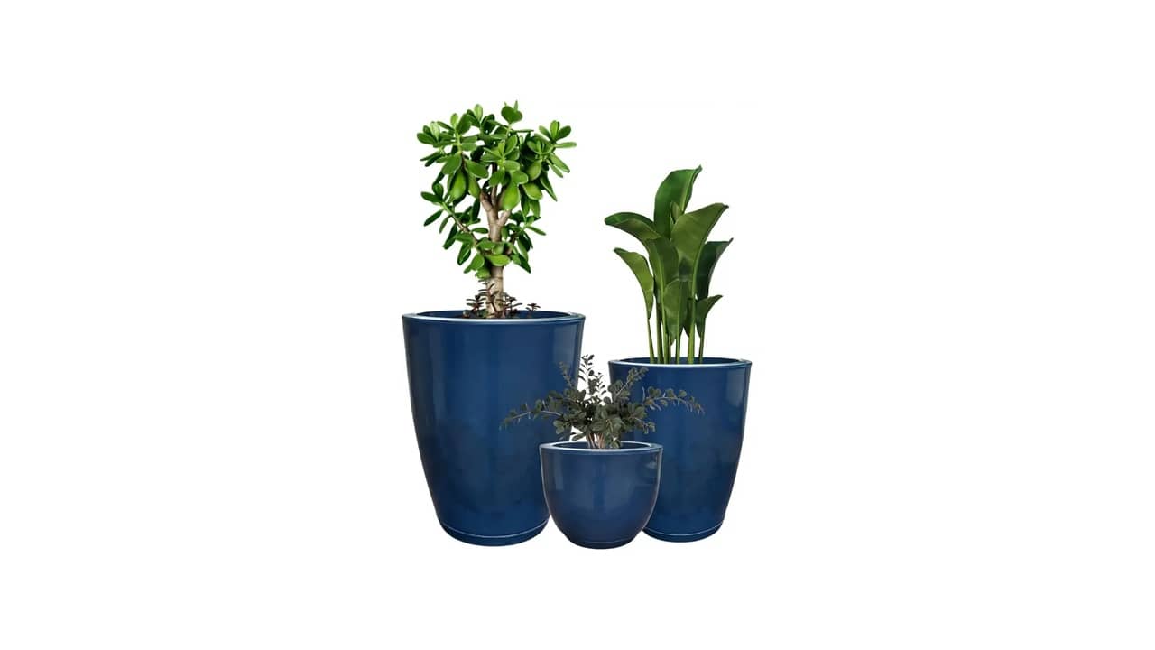 Melhor Vaso para Plantas: Guia Essencial de Compra