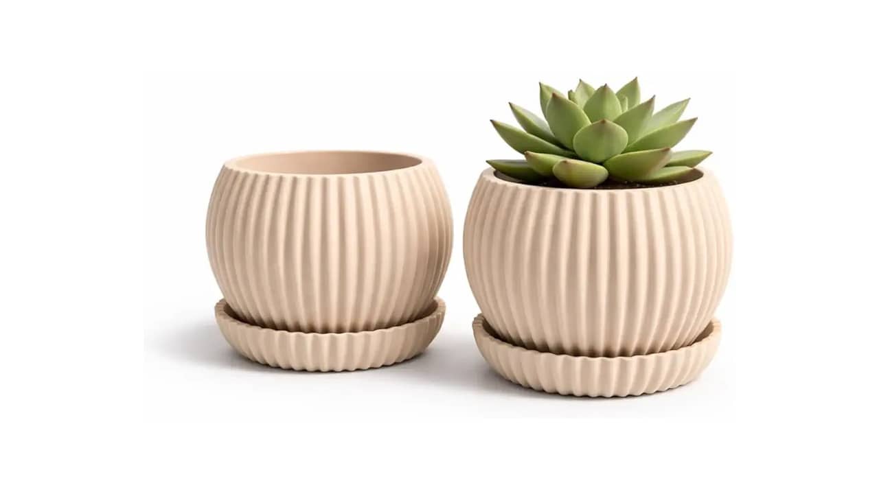 Melhor Vaso para Suculenta: 10 Modelos com Drenagem