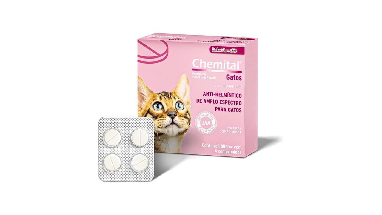 Melhor Vermífugo para Gatos: Como Proteger Seu Felino