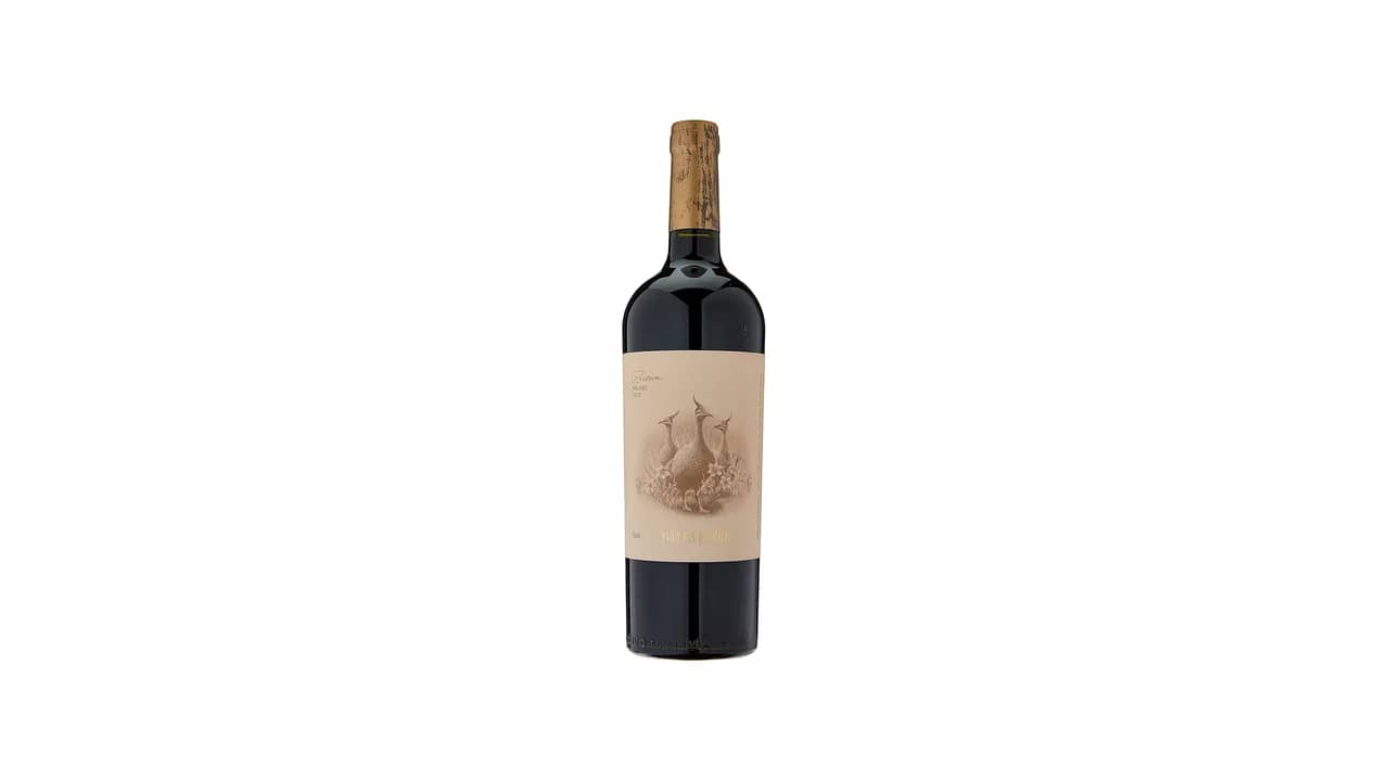 Melhor Vinho Argentino Malbec: Guia Definitivo 2023