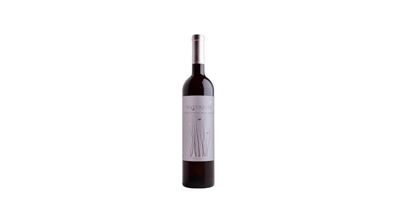 Melhor Vinho Brasileiro: Guia Completo para Degustação