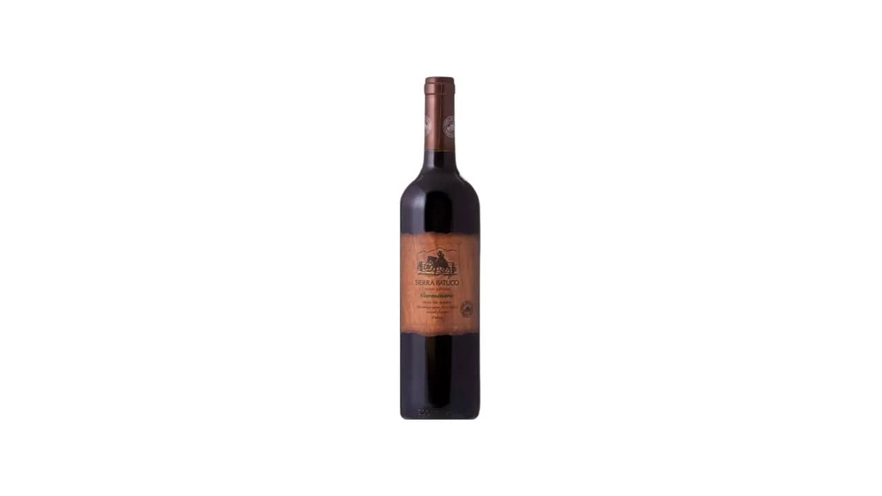 Melhor Vinho Chileno Carmenere: Guia Definitivo 2024