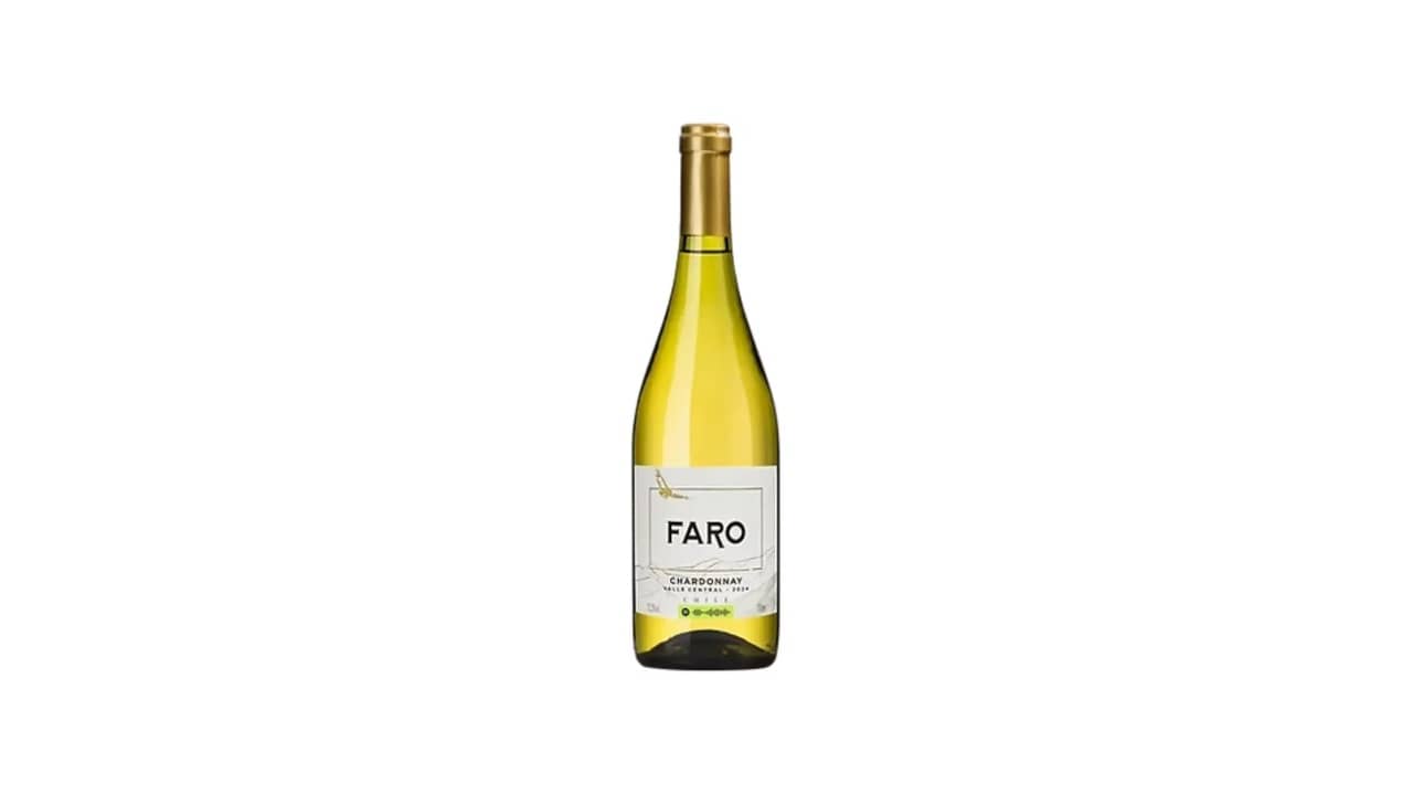 Melhor Vinho Chileno do Mundo: Descubra Sabores Únicos!