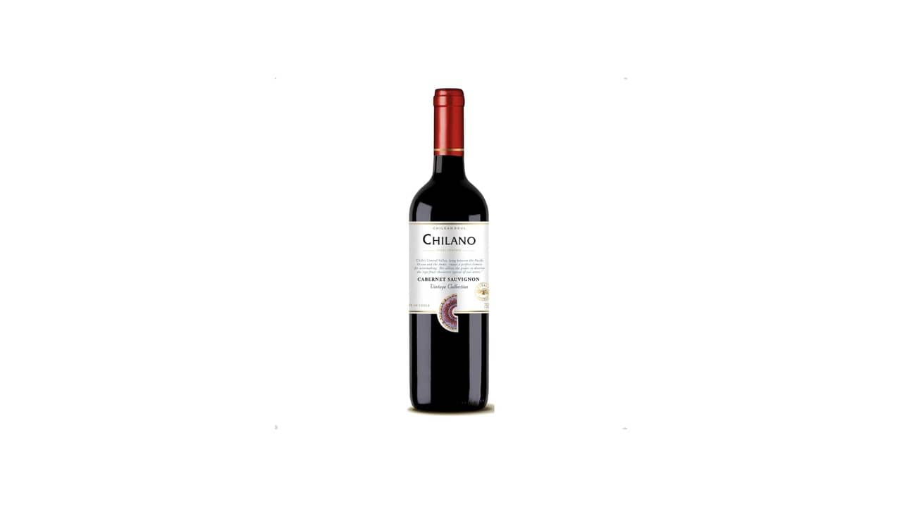 Melhor Vinho Chileno Seco: Guia Essencial para Degustar