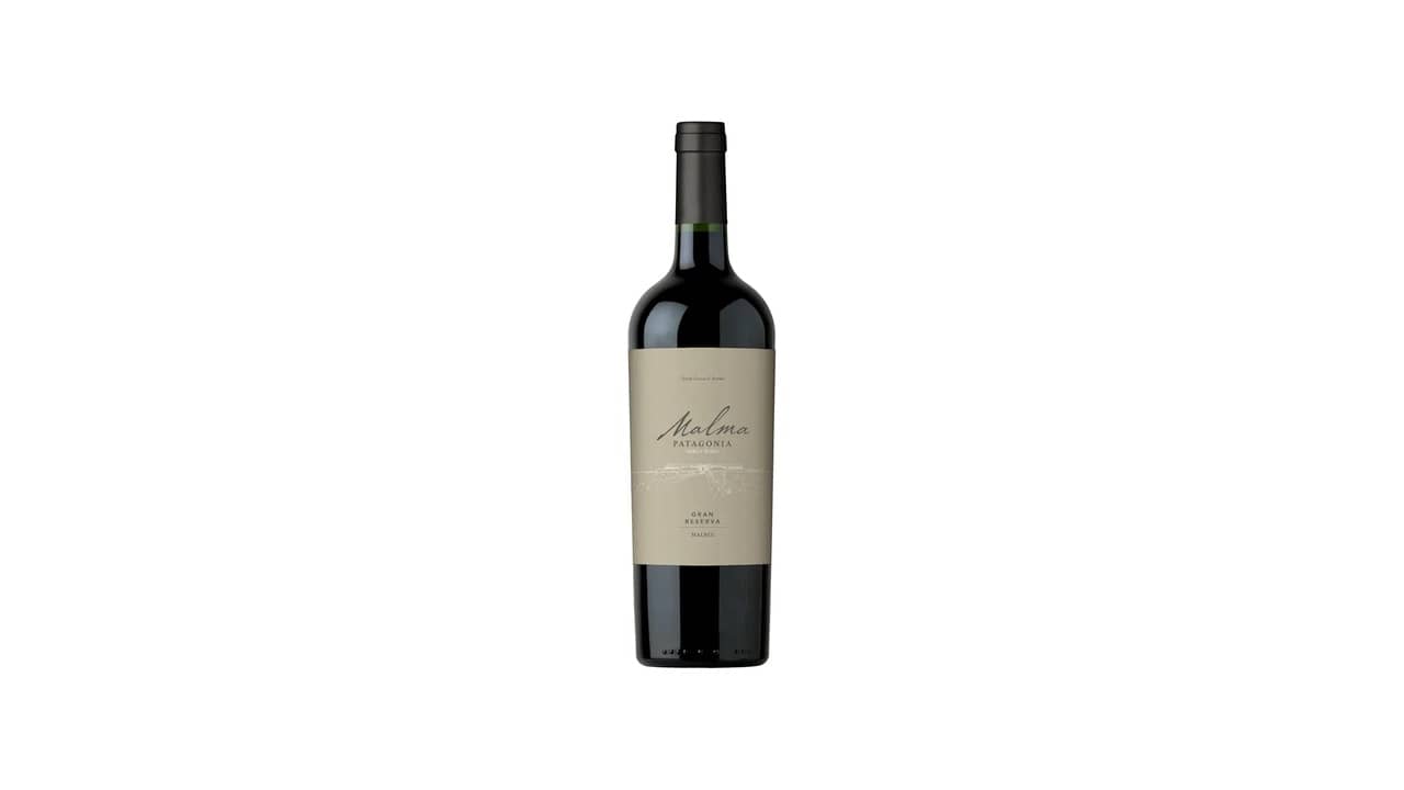 Melhor Vinho Malbec do Mundo: Sabores Argentinos e Chilenos