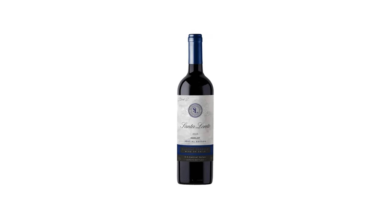 Melhor Vinho Merlot Chileno: Guia de Sabores e Aromas