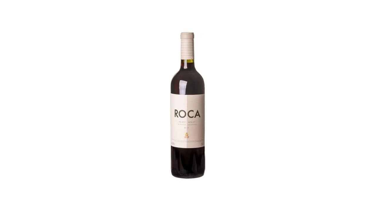 Melhor Vinho Merlot ou Malbec: Guia Definitivo
