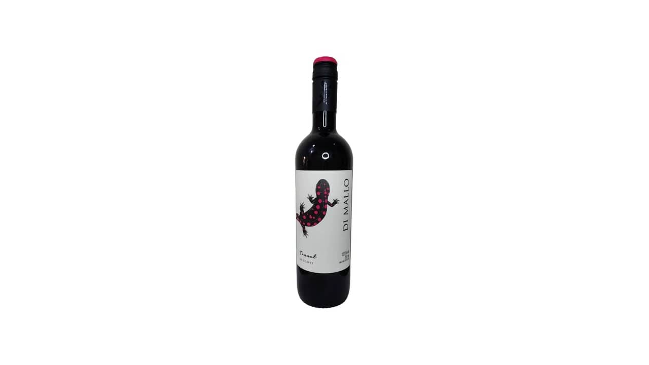 Melhor Vinho Tannat Uruguaio: Sabores Exclusivos do Uruguai