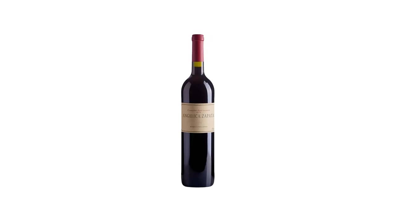 Melhor Vinho Tinto Seco Argentino: Descubra Sabores Únicos