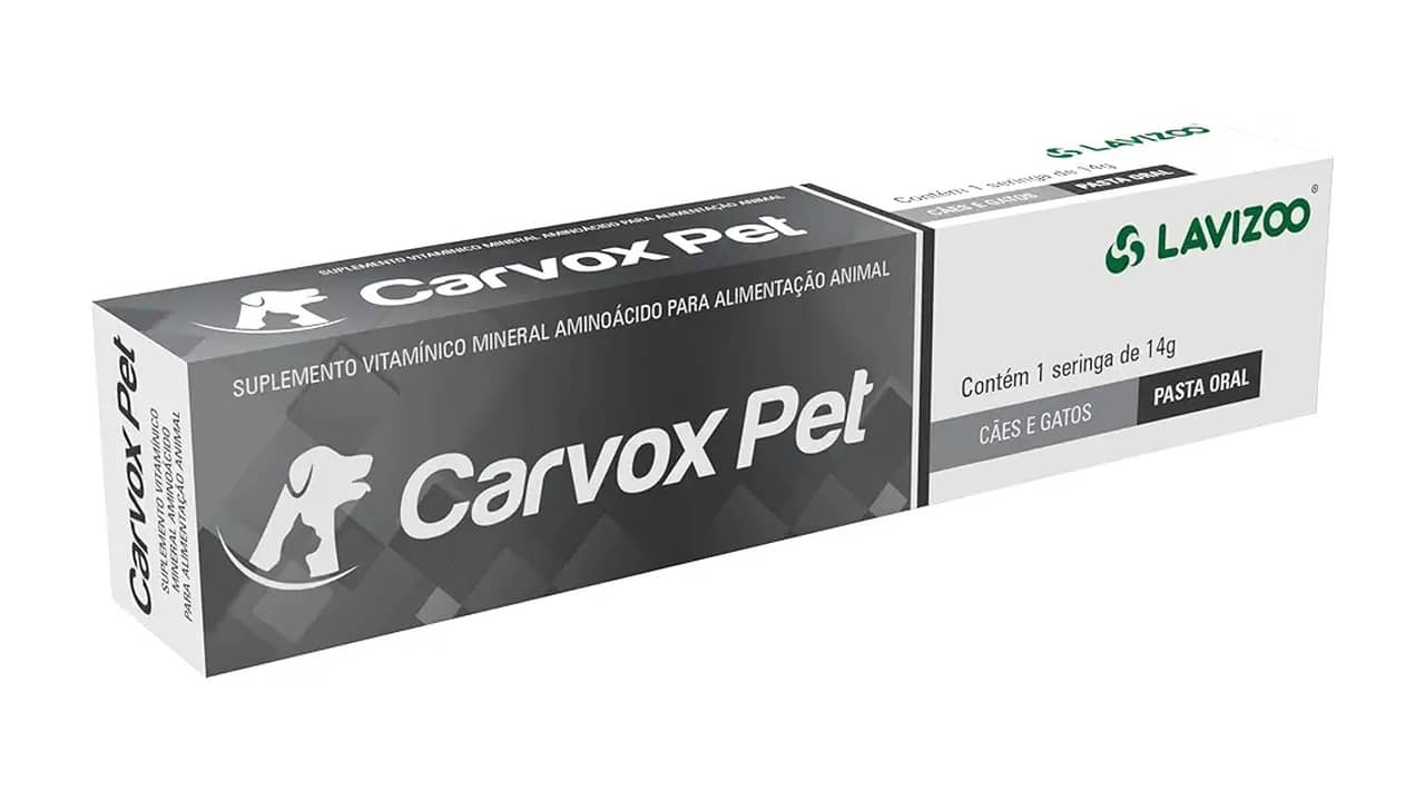 Melhor Vitamina para Cachorro de Caça: Energia e Saúde