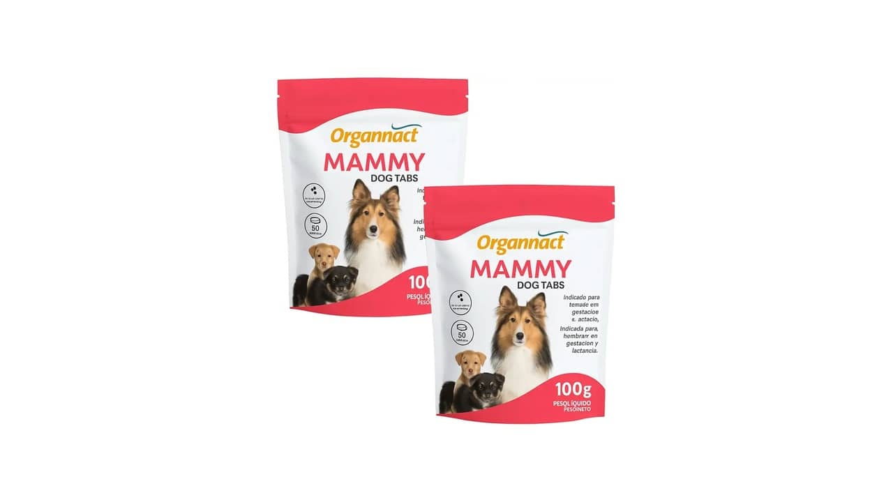 Melhor Vitamina para Cadela Gestante: Guia Completo